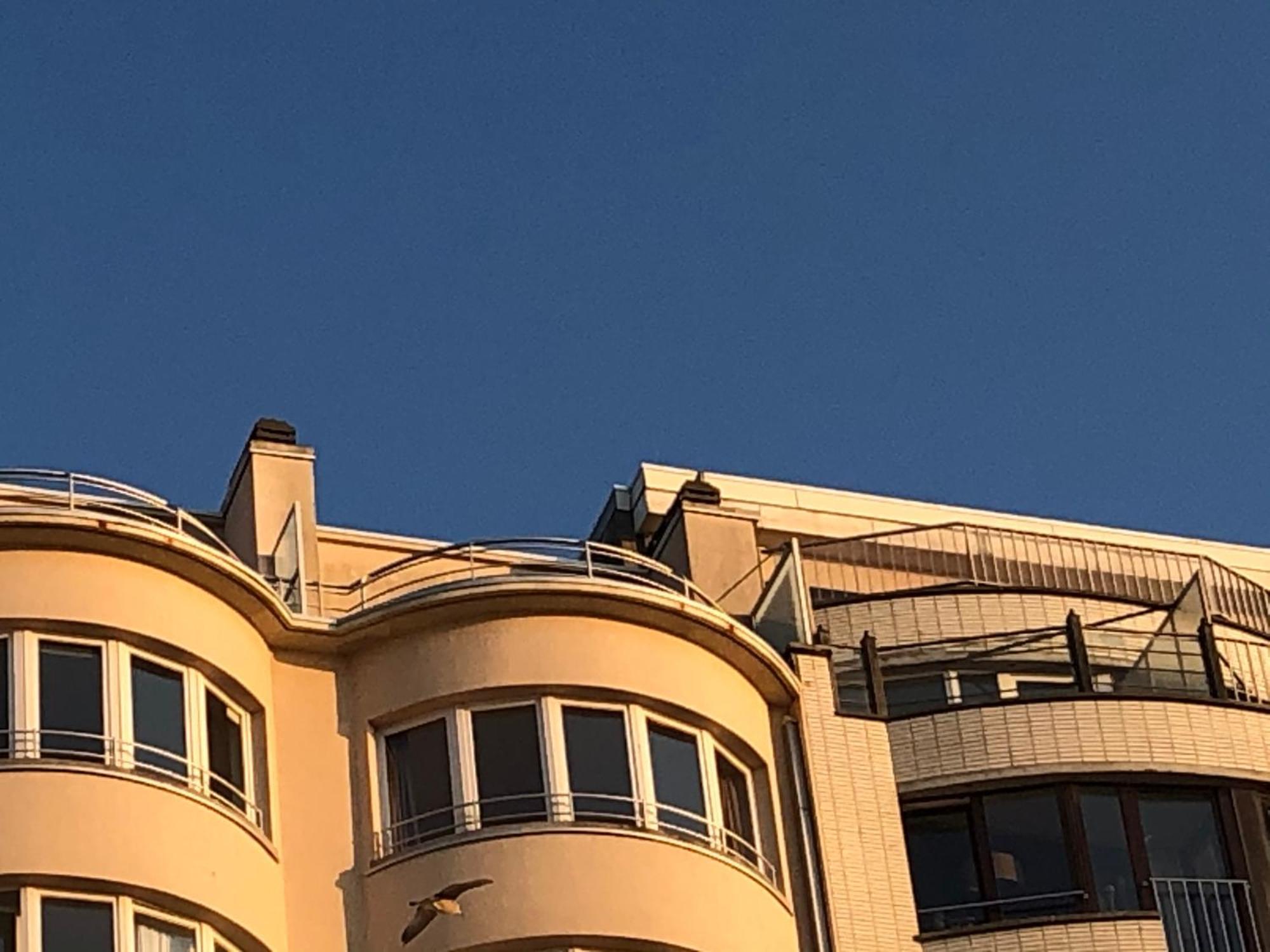 El Mirador Penthouse Paris Lejlighed Oostende Eksteriør billede